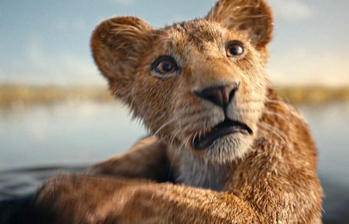 Letzter Trailer zu „Mufasa: Der König der Löwen“ mit epischem Abenteuer: Hier ansehen