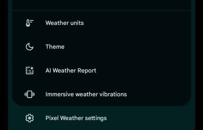 Pixel Weather führt den Pollenflug und immersive Vibrationen ein