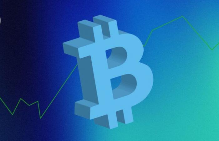 Bitcoin (BTC) bis Ende 2025 bei 1 Million US-Dollar? Die verrückte Vorhersage dieses Investors