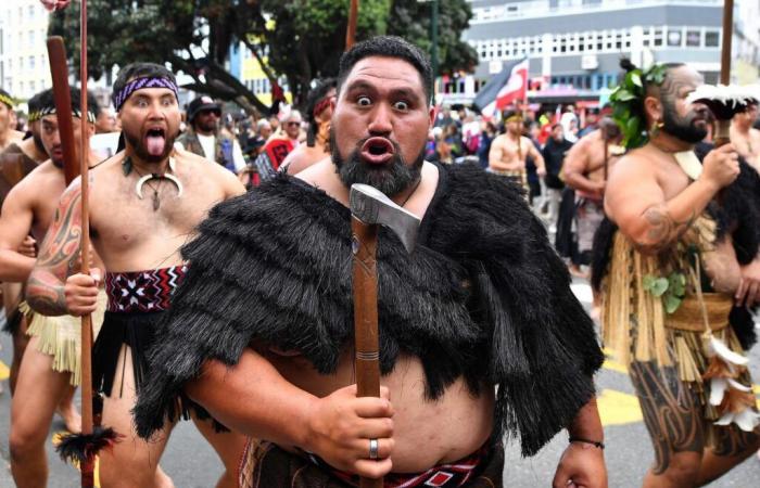 In Wellington, Neuseeland, demonstrieren Tausende für die Rechte der Maori