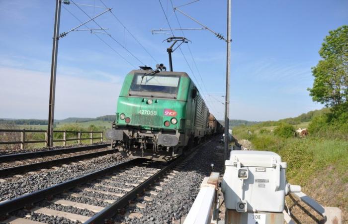 Die Privatisierung des Güterverkehrs beunruhigt die Gewerkschaften