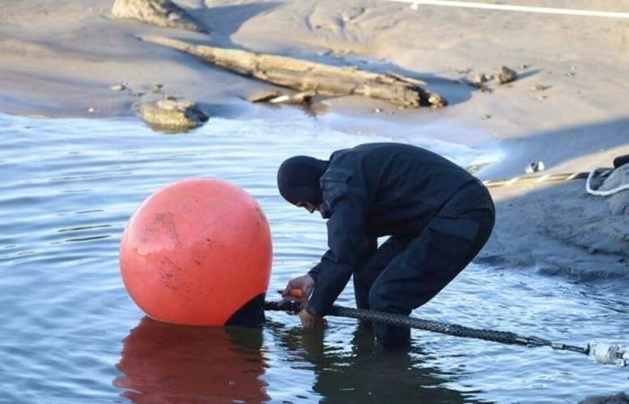 Kabel in der Ostsee beschädigt: Der Kreml hält es für „lächerlich“, Russland Vorwürfe zu machen