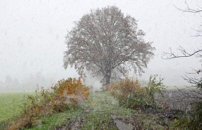 Der erste Schnee erzeugt einen weißen Teppich: Code Gelb für rutschige Bedingungen heute Nacht und heute Nacht während der ersten Wintereinspritzung in Flandern