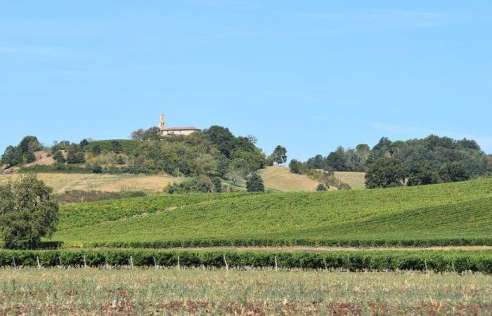 Lisle-sur-Tarn. Chemin Toulze, Route der frühen Produkte…