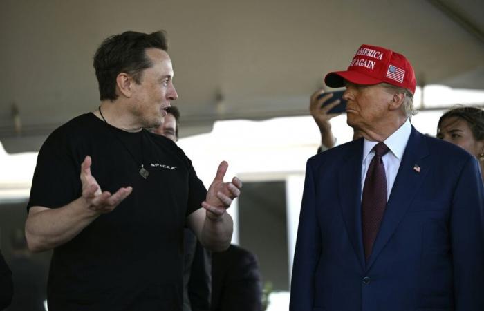 Im Namen der Effizienz der Regierung greift Elon Musk die Telearbeit amerikanischer Beamter an