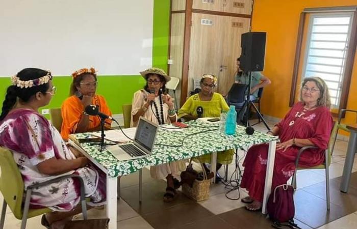 wenn Frauen über die Unruhen in Neukaledonien debattieren