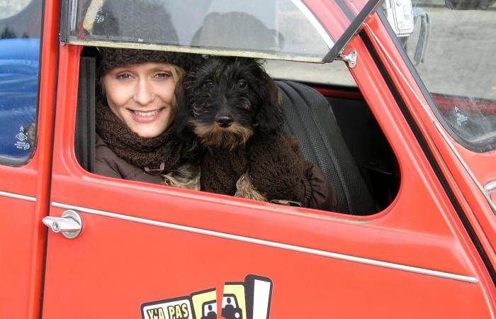 „Ich möchte nichts bereuen“: Maureen Louys verlässt RTBF, um sich ihrer Leidenschaft für Tiere zu widmen