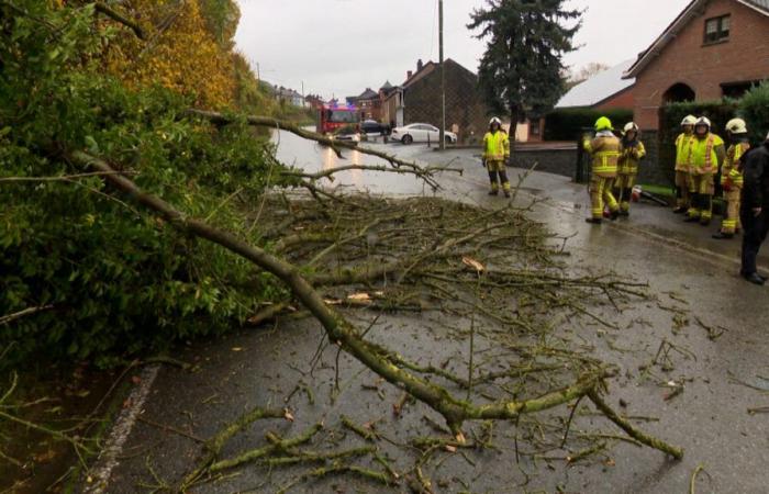 Überflutete Straßen und Wege, verstopfte Abflüsse: Schlechtes Wetter führt in Wallonien und Brüssel zu rund hundert Einsätzen