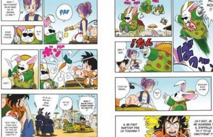 Noch immer auf seiner „Zauberwolke“ feiert „Dragon Ball“ sein 40-jähriges Jubiläum und ist immer noch so attraktiv wie eh und je