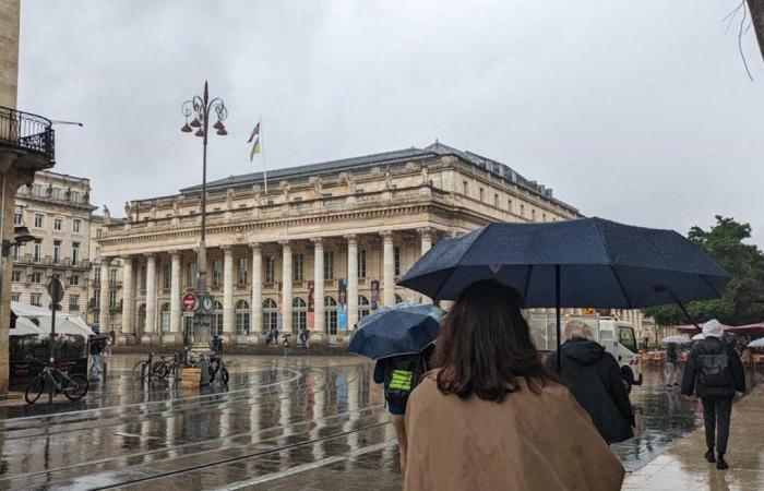 Für die Gironde besteht Alarmstufe Orange wegen der Gefahr starker Windböen