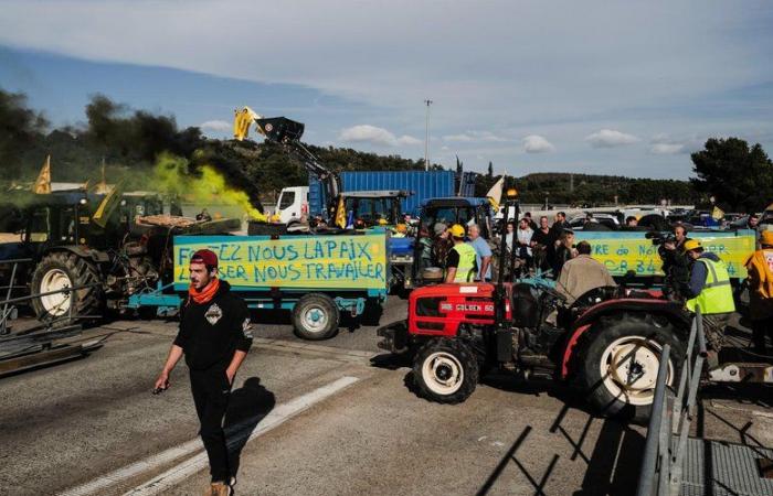 Verärgerte Bauern: „Seit Dienstag 11.30 Uhr haben wir keine LKWs mehr erhalten“, der internationale Markt Saint-Charles in Perpignan steht fast still