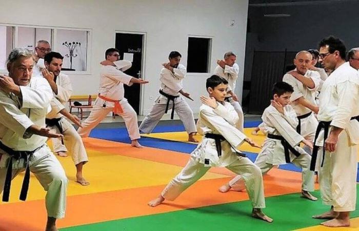 Moncé-en-Belin. Guter Saisonstart im Karate-Verein