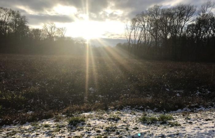 Gelbe Warnung für „Schnee-Eis“ und „Starker Wind“ im Jura, diesen Donnerstag, 21. November | Jura: alle lokalen Informationen