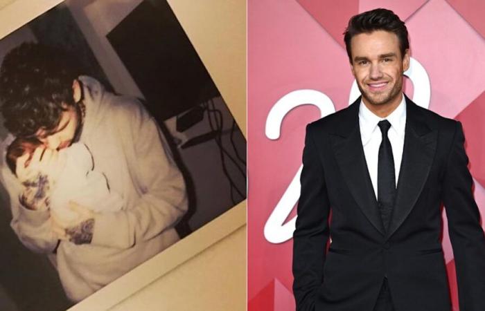 Bear Paynes letzte herzzerreißende Hommage an Papa Liam Payne wurde enthüllt