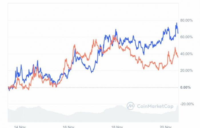 BTC-, GOAT- und BONK-Gewinner des Tages!