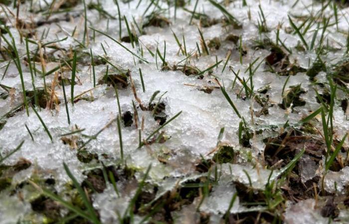 Schnee kommt. Hier erfahren Sie, wie viel und wann