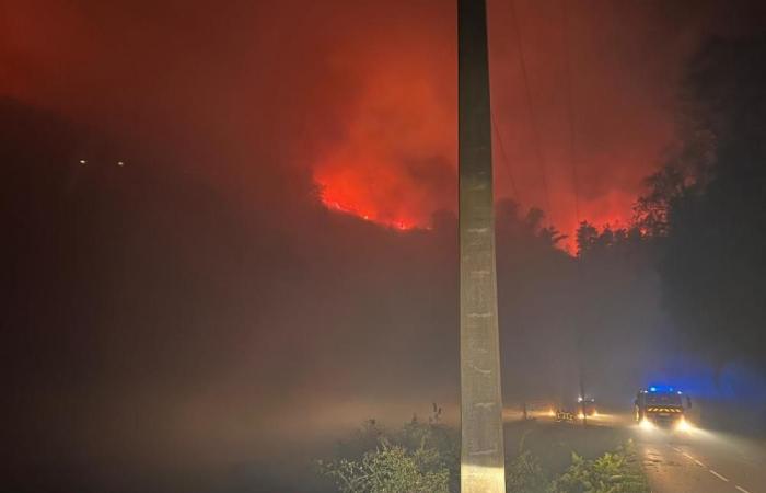 Bei einem durch heftige Winde verursachten Feuer in Pietra di Verde brannten rund zwanzig Hektar