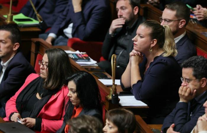 La France insoumise setzt sich bei der Versammlung für die Gründung einer Freundschaftsgruppe Frankreich-Palästina ein