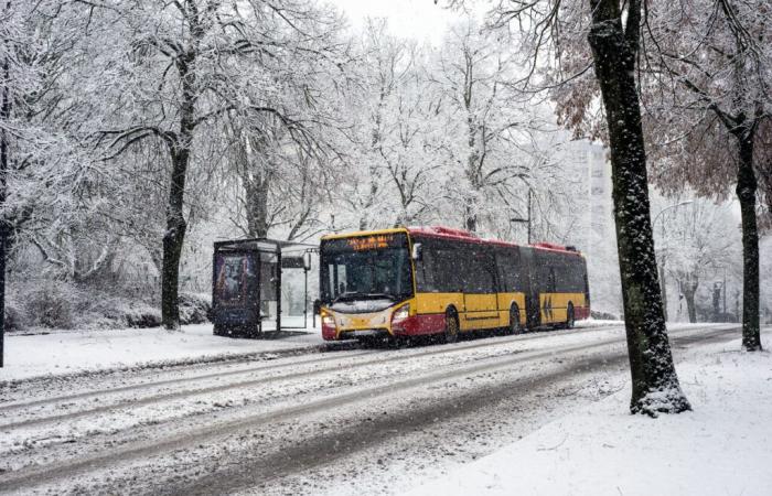 Schnee von der Bretagne bis zum Elsass, bis zu 10 cm und Dutzende Wachsamkeiten an diesem Donnerstag