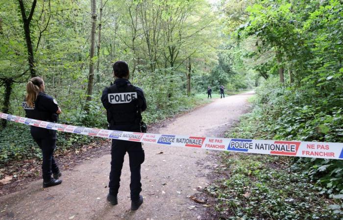 Bei der in einem Wald entdeckten verkohlten Leiche könnte es sich um die eines ehemaligen Rugbyspielers handeln, der Anfang November verschwunden ist