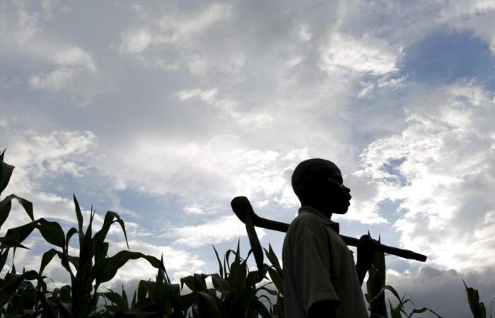 In Malawi zeigen Auswanderungskandidaten nach Israel ihre Ungeduld