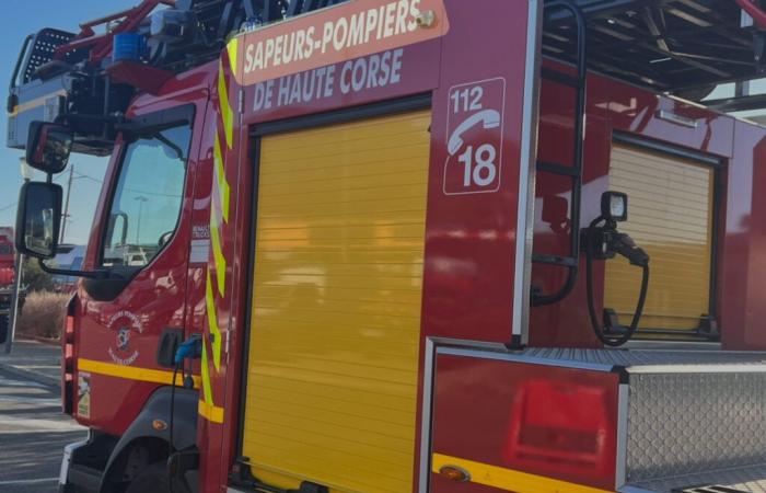 Vom Wind angefacht, verwüstet ein Feuer 20 Hektar