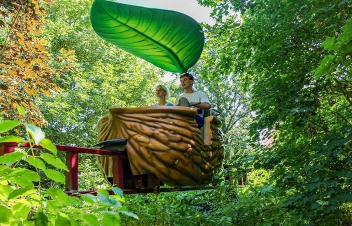 Maine-et-Loire. Der private Betreiber Lopping übernimmt die Leitung von Terra Botanica