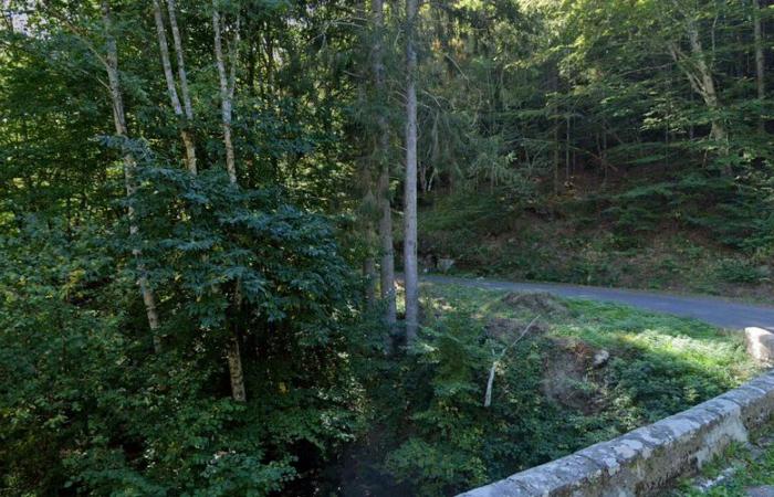 Verschwindenlassen von Yann Escande im Tarn: Ein Auto und eine verkohlte Leiche in einem Wald gefunden