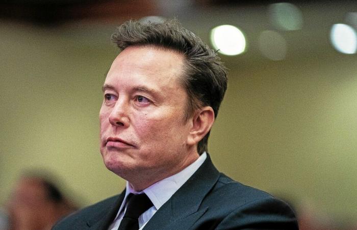 USA: Kann die Idylle zwischen Elon Musk und Donald Trump anhalten?