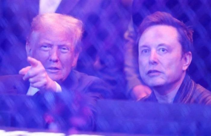 Donald Trump und Elon Musk wurden im Februar 2025 von Emmanuel Macron nach Frankreich eingeladen: Nachrichten