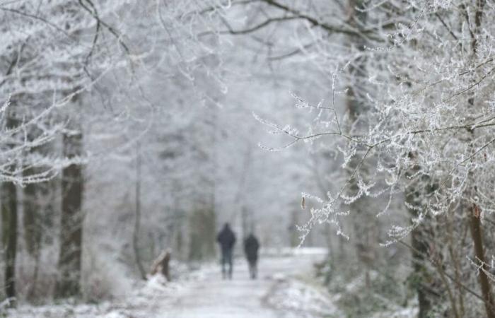 Neuer Wintereinbruch sorgt für Neuschnee in diesem Gebieten