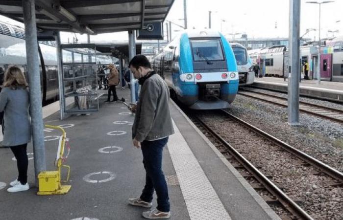 Charente-Maritime: Streik bei der SNCF an diesem Donnerstag gegen die Privatisierung von Güterverkehr und TER