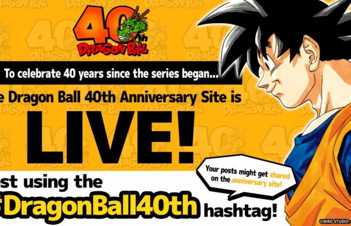 Die offizielle Website zu 40 Jahren Dragon Ball ist geöffnet – Dragon Ball Super