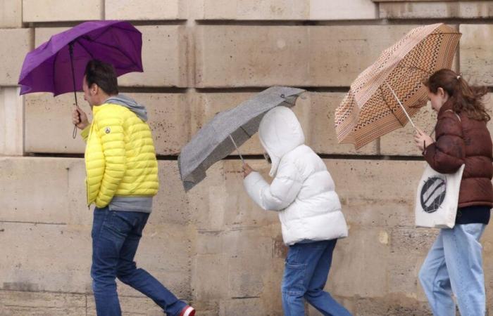 Wetterwarnung: Vienne und Deux-Sèvres in Alarmstufe Orange wegen heftigem Wind