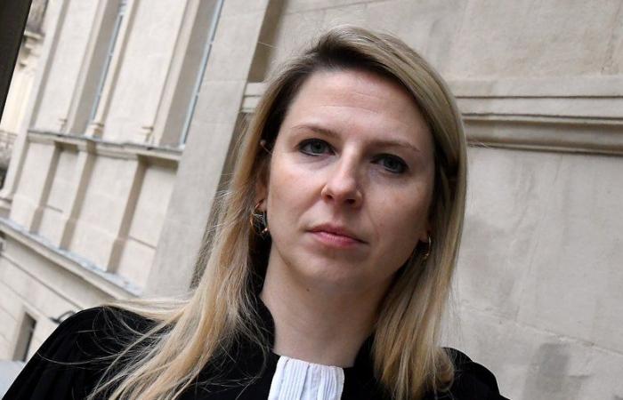 Aude Assizes: Er wird wegen Vergewaltigung und gewohnheitsmäßiger Gewalt gegen seine Partnerin in Carcassonne angeklagt und bestreitet die Fakten in vollem Umfang