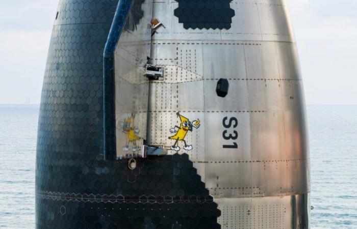 Was machte diese Banane in der Megarakete von SpaceX?