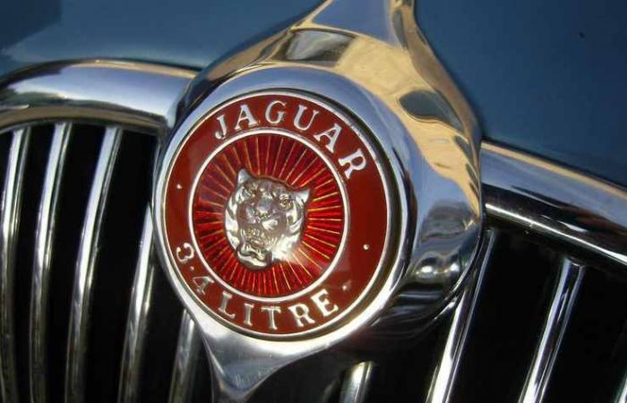 Jaguar, ein neues Logo für Vorspeisen