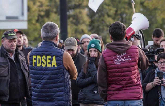 DIREKT. Wut der Bauern: Ende der Blockade der A9 nach Spanien, Demonstrationen nächste Woche … folgen dem Tag der Mobilisierung