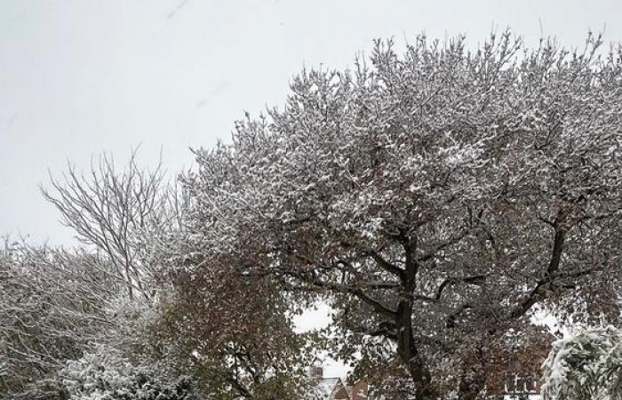 Wetter in Großbritannien: Neue Schnee- und Eiswarnungen ausgegeben, da Meteorologen vor weiteren Reiseunterbrechungen warnen | Britische Nachrichten