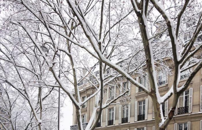 Der Schnee kommt in Paris und auf der Île-de-France, das Wetter erwartet Sie in der Region