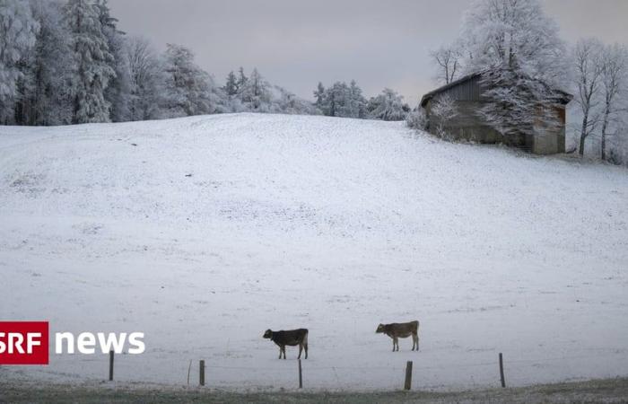 Kommt jetzt der grosse Schnee? – News