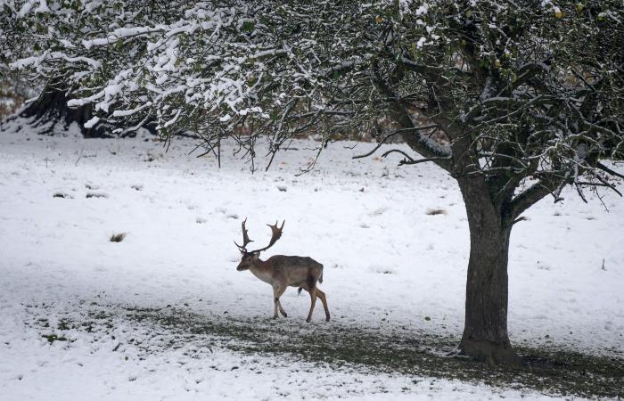 Aktuelles Wetter: Neue Schnee- und Eiswarnung vom Wetteramt, da mit Reiseunterbrechungen zu rechnen ist