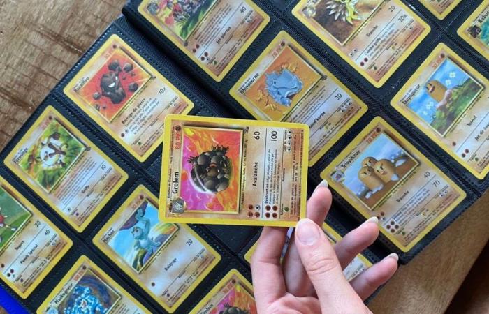 Landes: Eine Familie findet in ihrem Gers-Haus einen Schatz an Pokémon-Karten