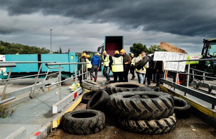 Verärgerte Bauern – Ende der LKW-Sperre an der französisch-spanischen Grenze: „Wenn die anderen Agrargewerkschaften gekommen wären, um uns abzulösen, hätten wir viel länger weitermachen können“