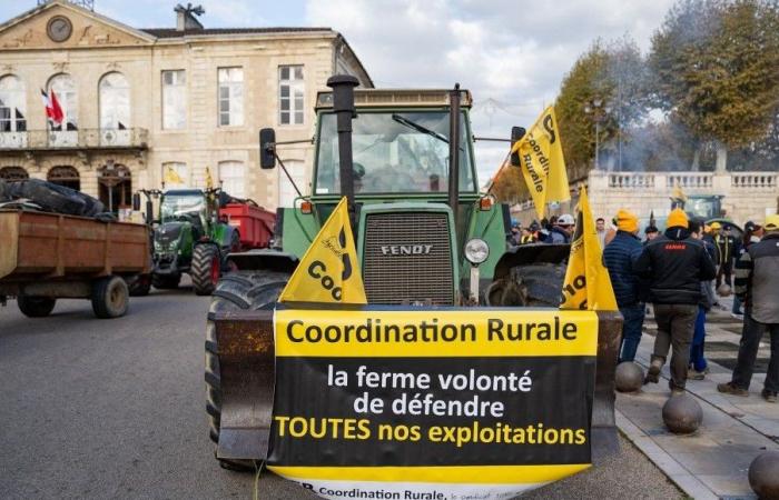 Dritter Tag der Agrardemonstration vor dem Hintergrund der Wahlen in den Landwirtschaftskammern