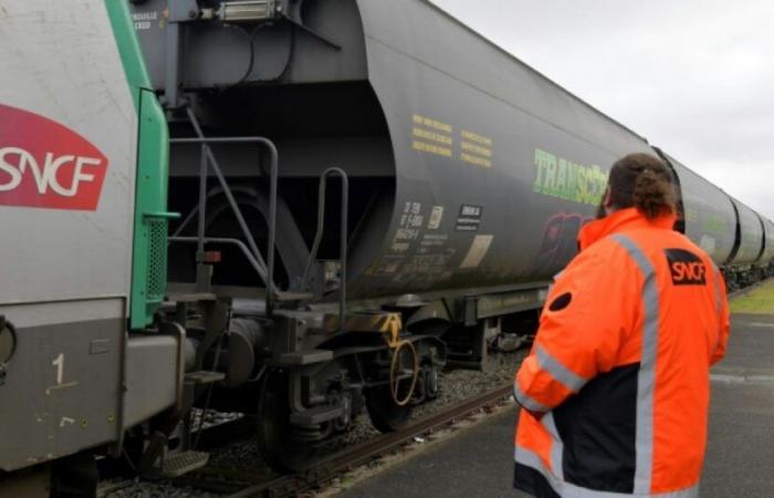 SNCF-Streik: Die Bewegung für SNCF Freight wird im gesamten Konzern mäßig verfolgt: Nachrichten