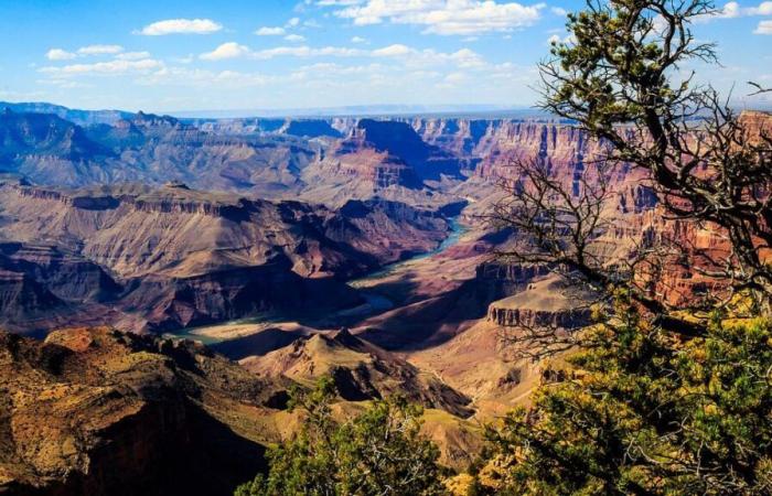 Diese Entdeckung im Grand Canyon könnte die Geschichte der kambrischen Explosion neu schreiben