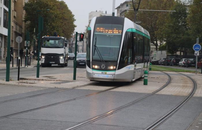 Die Straßenbahn T8 ist aufgrund abgestorbener Blätter teilweise unterbrochen, teilt die RATP mit