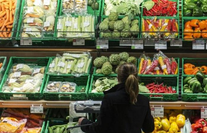 Schweiz: Spekulationen haben keinen großen Einfluss auf die Schwankungen der Lebensmittelpreise