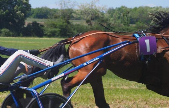 Reitwettbewerbe in Frankreich abgesagt